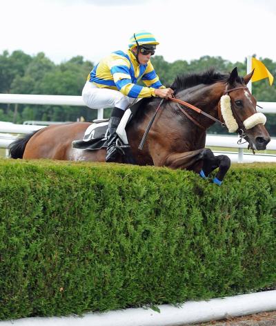 L'hippodrome de Wissembourg, dans le Grand Est, se labellise EquuRES