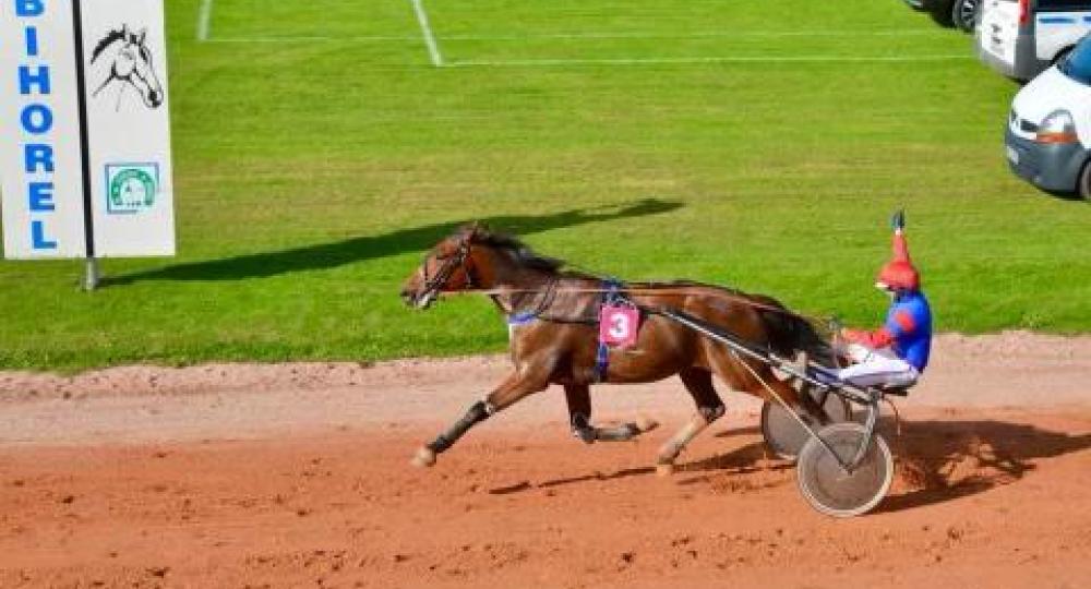 L'hippodrome de Bihorel atteint le niveau engagement pour sa labellisation initiale