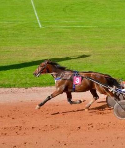 L'hippodrome de Bihorel atteint le niveau engagement pour sa labellisation initiale