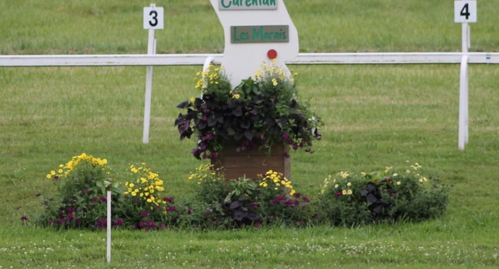 L'hippodrome de Carentan, dans le Cotentin, se labellise EquuRES