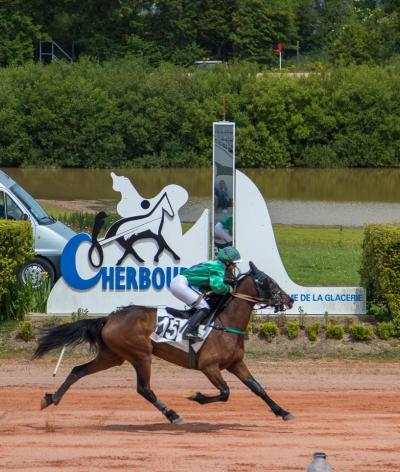 L'hippodrome de Cherbourg en Cotentin, dans la Manche, s'engage pour l'environnement et le bien-être