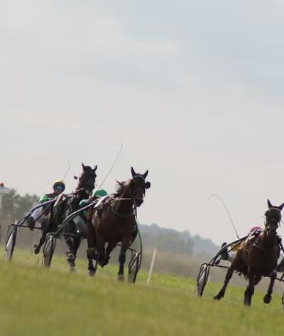 L'hippodrome de Luçon, en Vendée, s'engage pour l'environnement et le bien-être animal