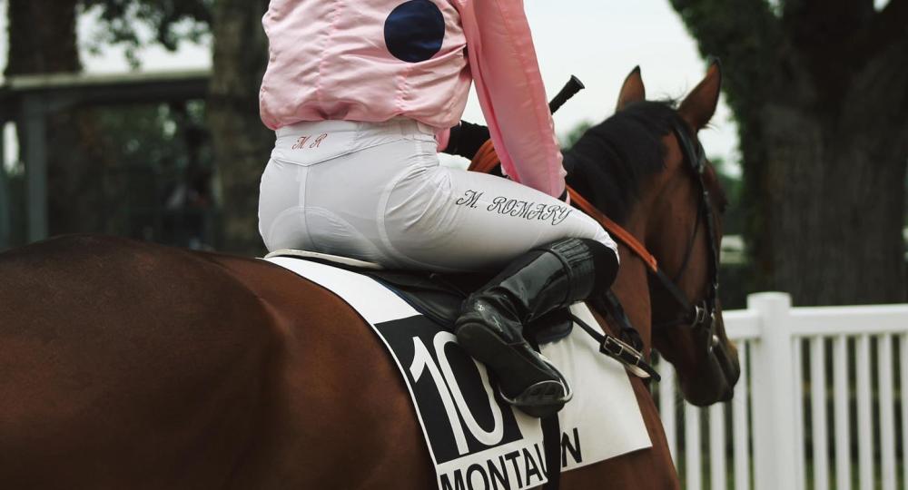 L'hippodrome de Montauban labellisé EquuRES à l'échelon engagement