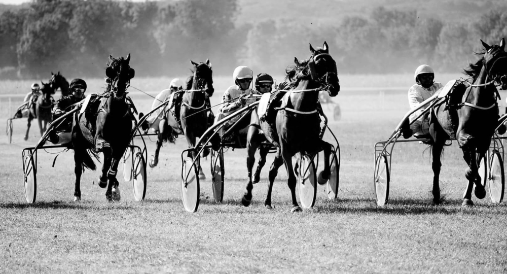 L'hippodrome de la Chartre sur le Loir s'engage pour l'environnement et le bien-être animal !