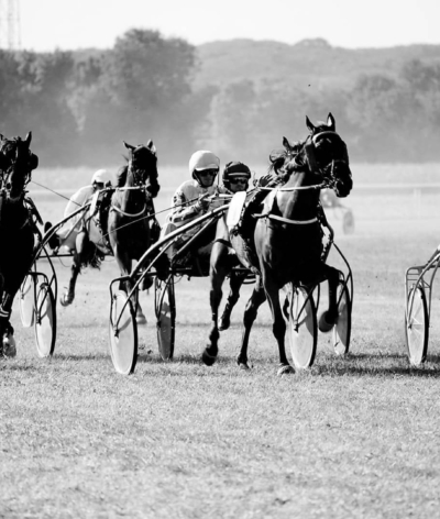 L'hippodrome de la Chartre sur le Loir s'engage pour l'environnement et le bien-être animal !