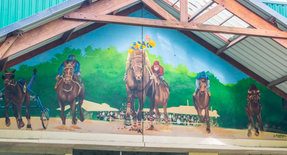 L'hippodrome de Pontivy, en Bretagne, se labellise EquuRES
