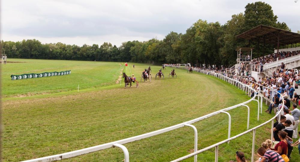 L'hippodrome de Fleurance, dans le Gers, renouvelle sa labellisation EquuRES