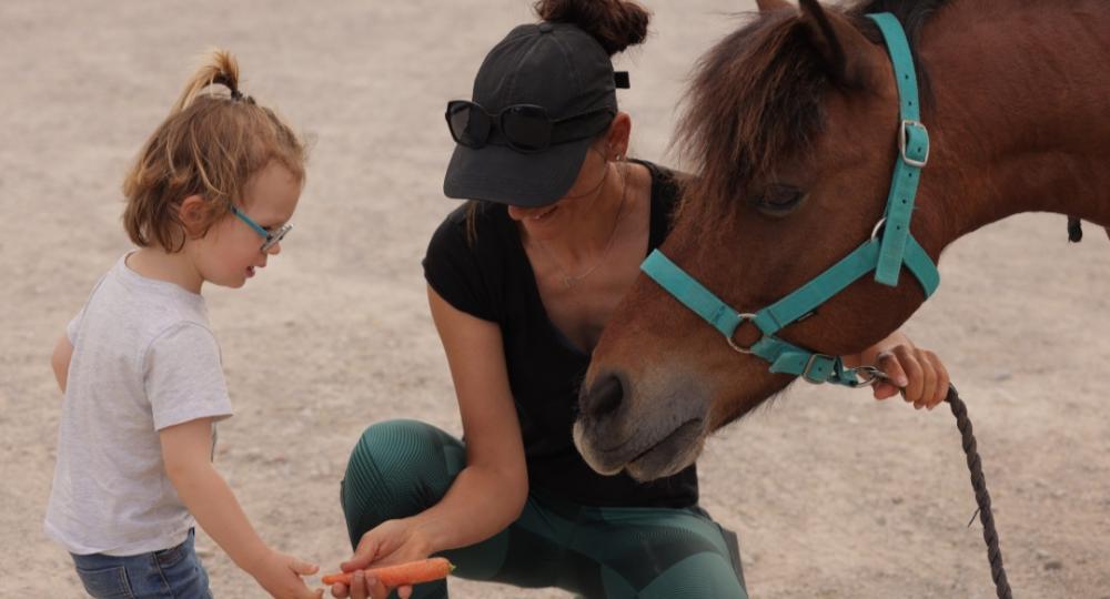La structure Alter Equo-Equicie, située dans l'Hérault, s'engage pour l'environnement et le bien-être animal