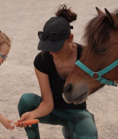 La structure Alter Equo-Equicie, située dans l'Hérault, s'engage pour l'environnement et le bien-être animal