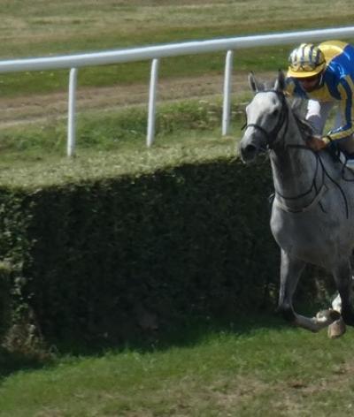 L'hippodrome de Rostrenen, dans les Côtes-d'Armor, s'engage pour l'environnement et le bien-être animal