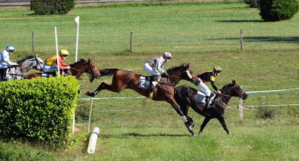 L'hippodrome de Castera-Verduzan, dans le Gers, est labellisé EquuRES