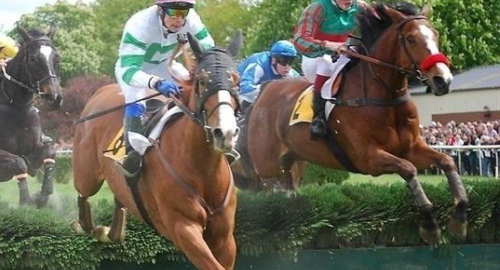 L'hippodrome de Vitré, en Ile-et-Vilaine, se labellise EquuRES