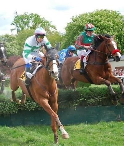 L'hippodrome de Vitré, en Ile-et-Vilaine, se labellise EquuRES