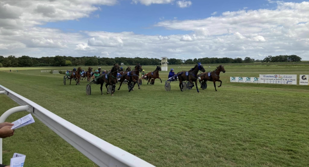 L'hippodrome de Craon, en Mayenne, s'engage pour l'environnement et le bien-être animal !