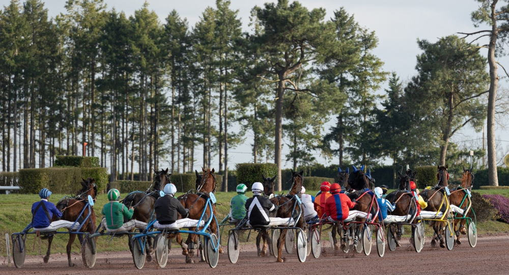 L'hippodrome de Maure de Bretagne, en Ille et Vilaine, labellisé à l'échelon engagement