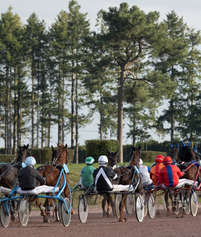 L'hippodrome de Maure de Bretagne, en Ille et Vilaine, labellisé à l'échelon engagement