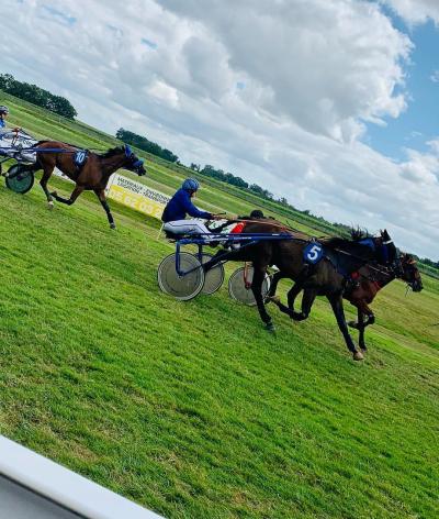 L'hippodrome d'Eauze, situé dans le Gers, renouvelle la labellisation EquuRES