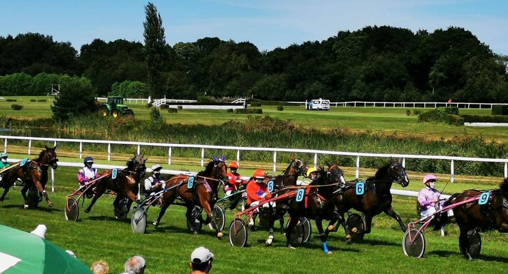 L'hippodrome de Morlaix, situé dans le Finistère, renouvelle sa labellisation EquuRES