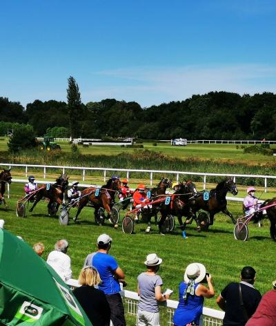 L'hippodrome de Morlaix, situé dans le Finistère, renouvelle sa labellisation EquuRES