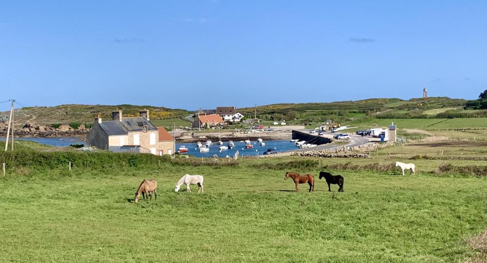 L’Élevage Wish, situé à Carneville dans la Manche, renouvelle sa labellisation EquuRES !