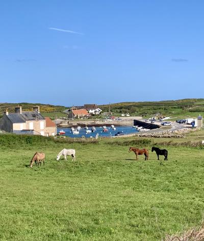 L’Élevage Wish, situé à Carneville dans la Manche, renouvelle sa labellisation EquuRES !