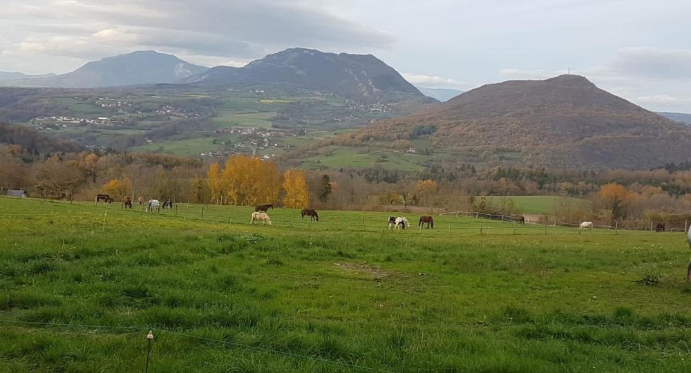 Les Ecuries des 1000, en Haute-Savoie, renouvelle leur labellisation EquuRES à l'échelon Engagement !