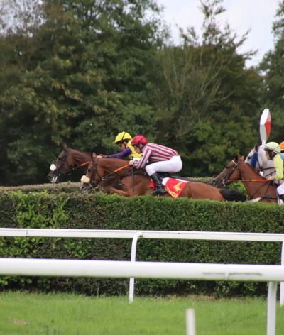 L'hippodrome de Landivisiau, situé dans le Finistère, renouvelle sa labellisation EquuRES