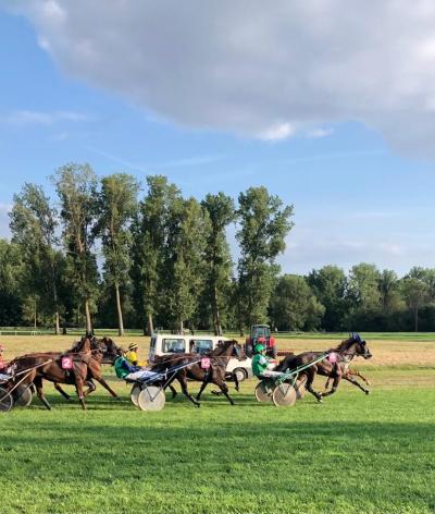 L'hippodrome de Montignac-Charente est labellisé EquuRES Hippodrome à l'échelon Engagement !