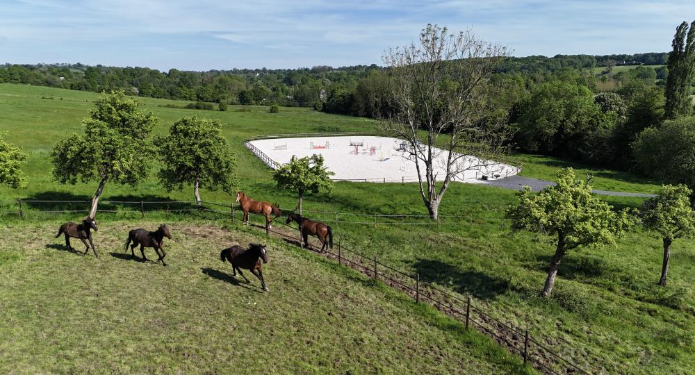 Le Haras de Blancastel, dans le Calvados, renouvelle sa labellisation EquuRES !