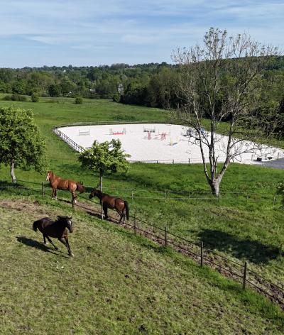 Le Haras de Blancastel, dans le Calvados, renouvelle sa labellisation EquuRES !