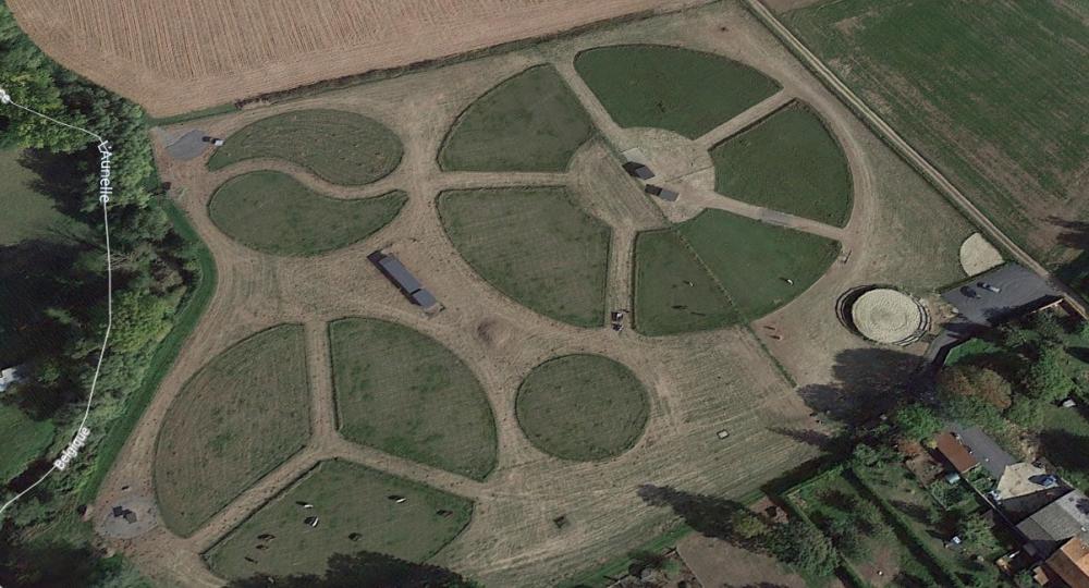 EQUI-libre Paddock Paradise des Hauts-Pays, en Belgique, obtiennent la labellisation EquuRES à l'échelon Engagement !