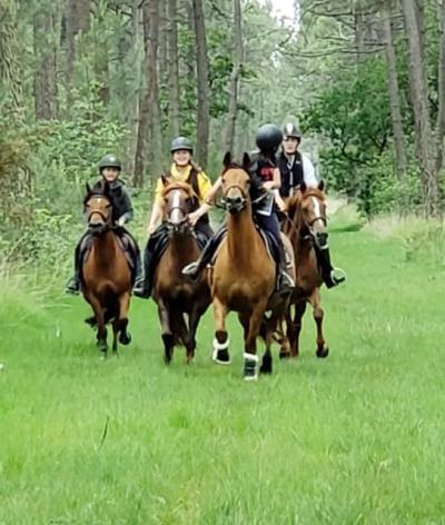 Les Ecuries de Pirou, dans la Manche, se labellise EquuRES au niveau Engagement