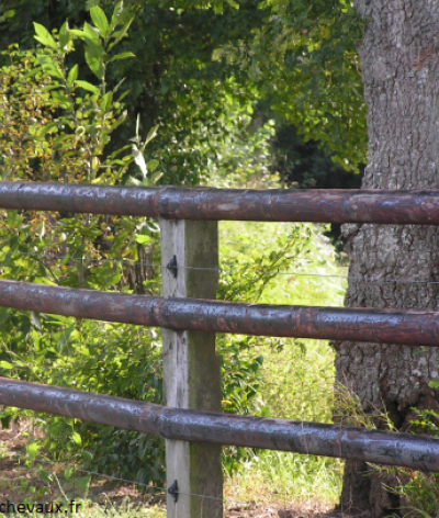 Alternatives aux clôtures en bois créosoté