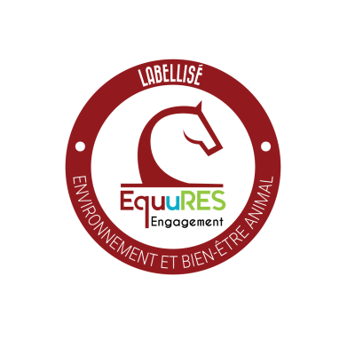 Thierry MOUTRILLE