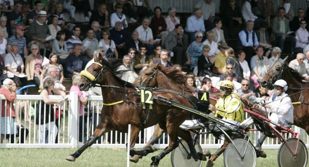 L'hippodrome de Mansle obtient sa labellisation EquuRES Hippodrome à l’échelon engagement !