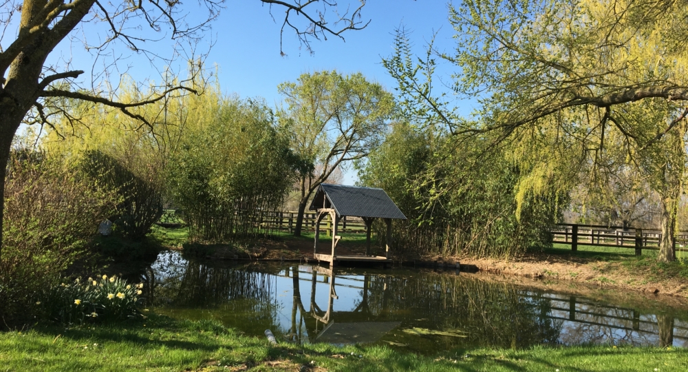 Que mettre en place pour favoriser la biodiversité dans mes écuries ?