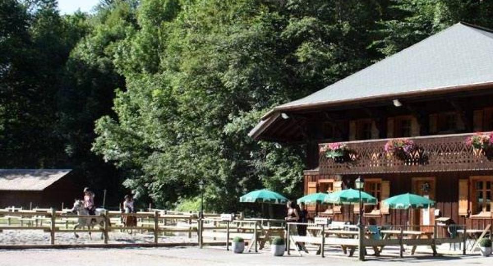 Morzine Equitation, un centre équestre de montagne labellisé EquuRES