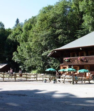 Morzine Equitation, un centre équestre de montagne labellisé EquuRES