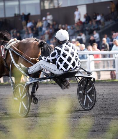 L'hippodrome du Croisé Laroche s'engage pour l'environnement et le bien-être animal