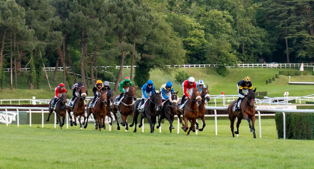 L'Hippodrome du Lion d'Angers renouvelle sa labellisation EquuRES et obtient le niveau Progression
