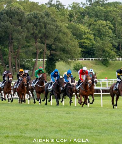 L'Hippodrome du Lion d'Angers renouvelle sa labellisation EquuRES et obtient le niveau Progression