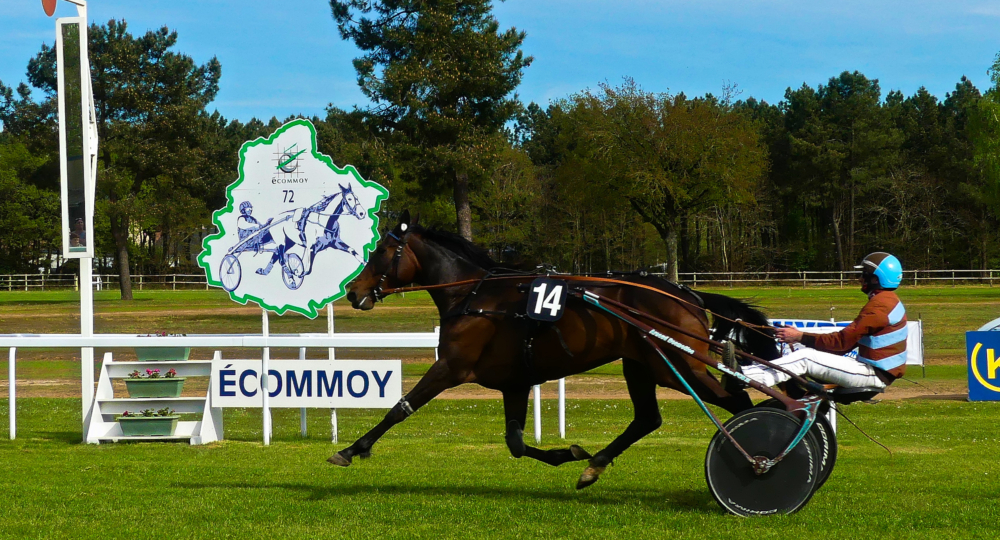 L'hippodrome d'Ecommoy labellisé EquuRES à l'échelon engagement !