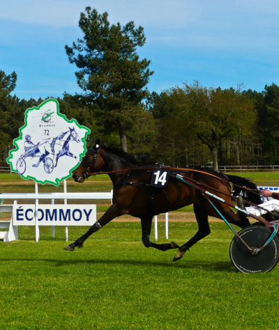 L'hippodrome d'Ecommoy labellisé EquuRES à l'échelon engagement !