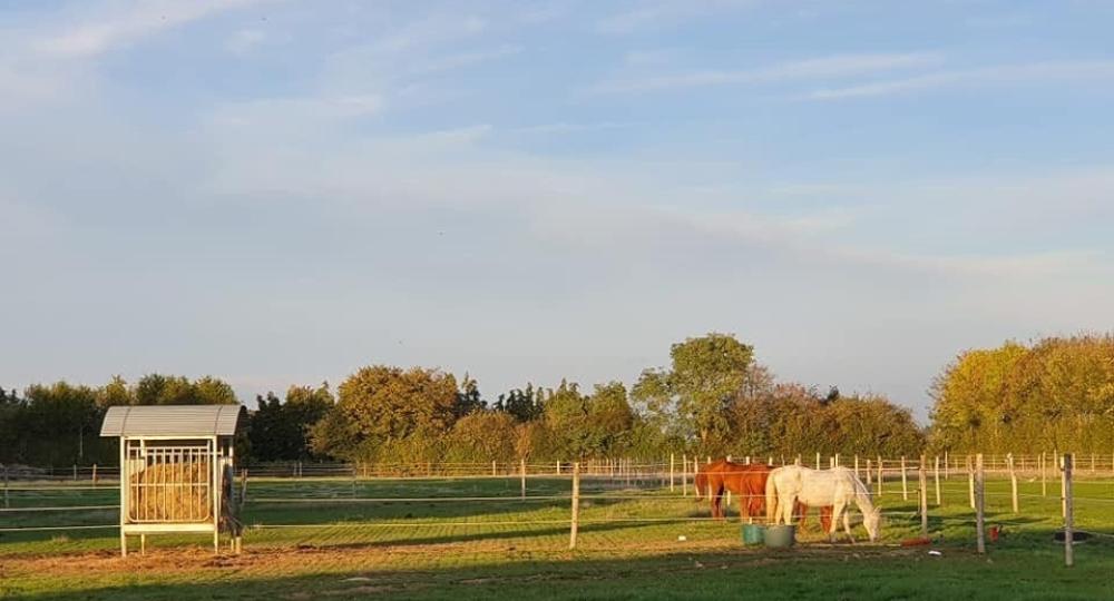 Les Ecuries du Pressoir Rimbert, dans l'Eure, labellisées EquuRES