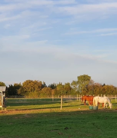 Les Ecuries du Pressoir Rimbert, dans l'Eure, labellisées EquuRES