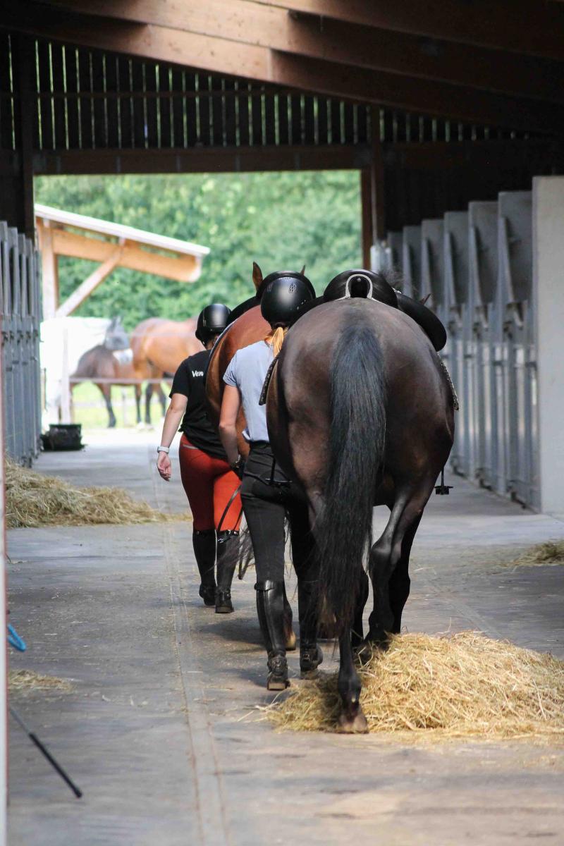 Deux cavalière tenant leur chevaux en main dans une écurie labellisée EquuRES, un lieu où le bien-être équin est une priorité.
