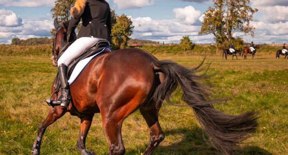 Pratiquer l'équitation écoresponsable et préserver notre environnement équestre