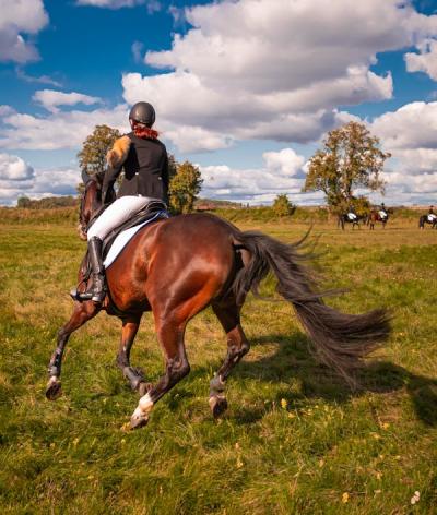 Pratiquer l'équitation écoresponsable et préserver notre environnement équestre