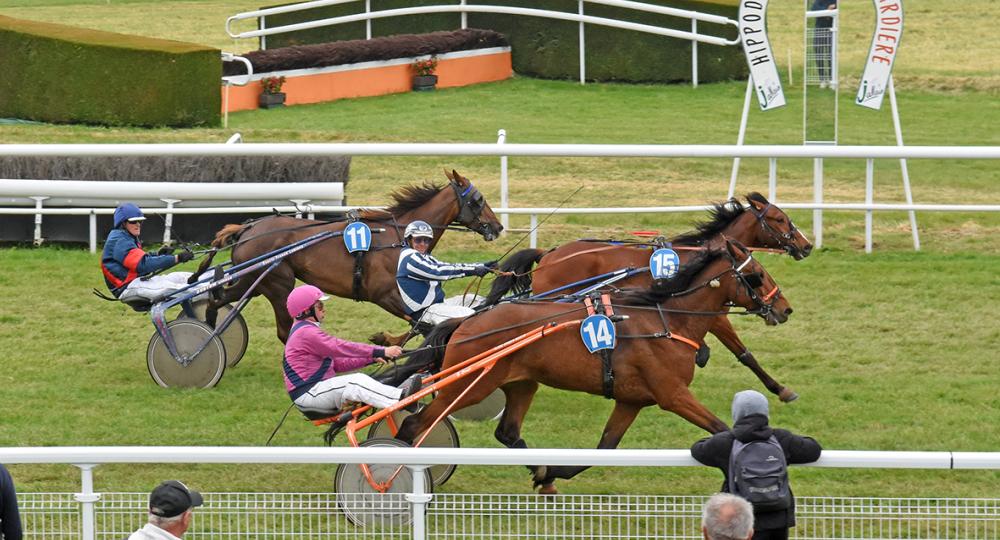 L’Hippodrome de Jallais, situé à Beaupréau-en-Mauges, obtient la labellisation EquuRES !