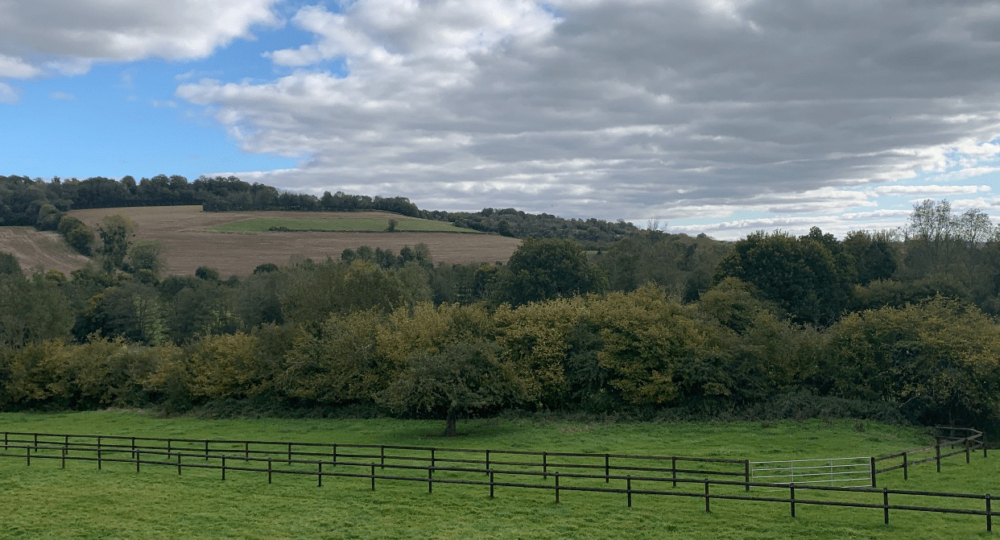 Le Haras de Belzo, dans l'Orne, labellisé EquuRES